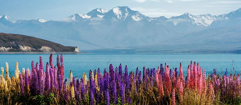 Lake Tekapo Lake Tekapo
